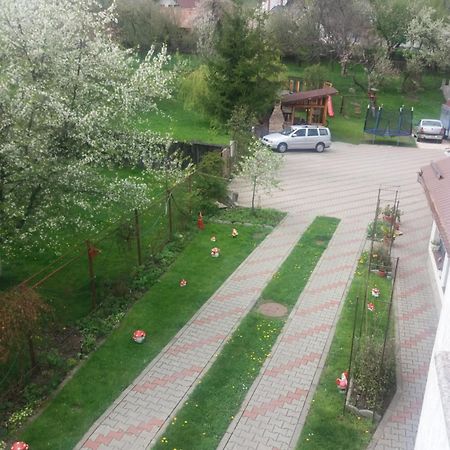 Готель Casa Elena Моєчу-де-Жос Екстер'єр фото